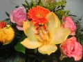 Kwiaty na imieniny Fabiana: żółta orchidea, różowe róże, pomarańczowa gerbera i żółty pąk.
