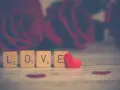 Drewniane klocki z napisem "LOVE" i czerwone serce na tle róż. Od kiedy obchodzimy walentynki w Polsce?