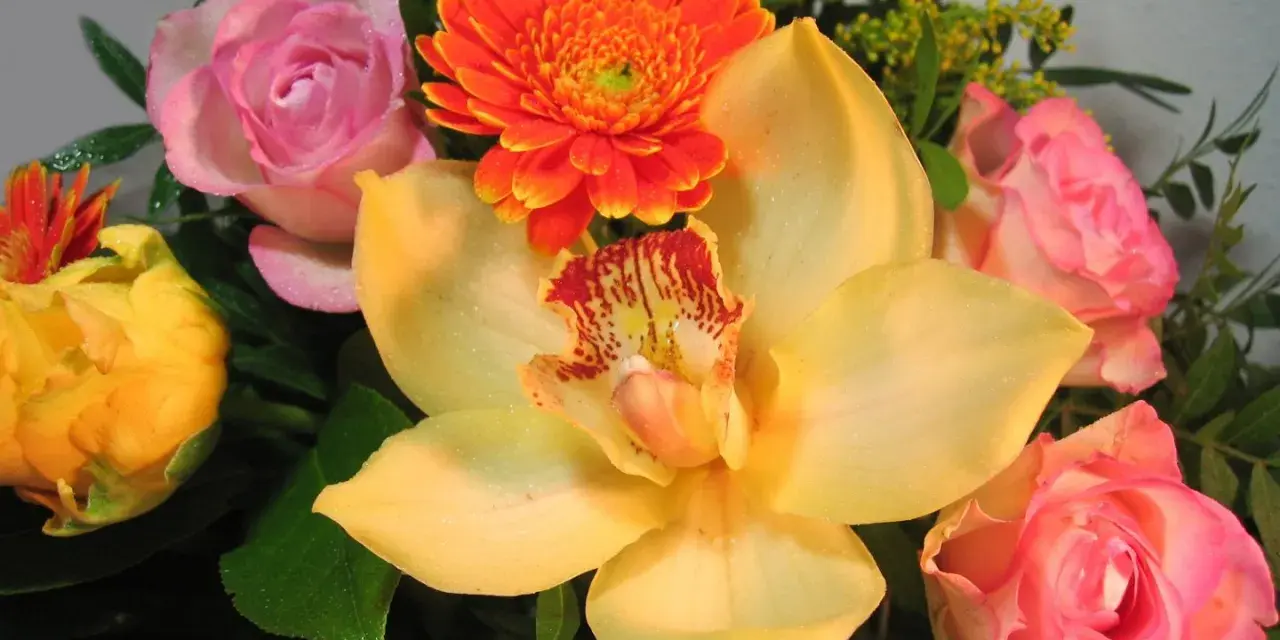 Kwiaty na imieniny Fabiana: żółta orchidea, różowe róże, pomarańczowa gerbera i żółty pąk.