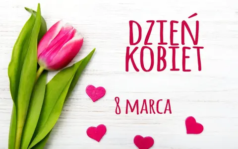 Różowy tulipan i serduszka na białym tle. Napis "Dzień Kobiet w Polsce" i "8 Marca" przypomina o święcie.