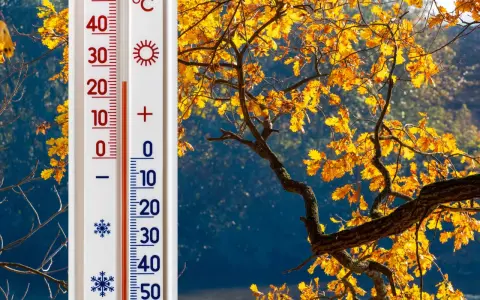 Termometr pokazuje 20 stopni Celsjusza. Złote liście dębu falują na wietrze, choć to już nie pora roku lato.