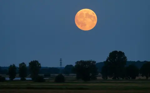 Pomarańczowa pelnia w sierpniu wschodzi nad drzewami i polem.