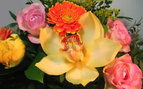 Kwiaty na imieniny Fabiana: żółta orchidea, różowe róże, pomarańczowa gerbera i żółty pąk.
