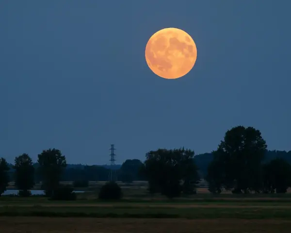 Pomarańczowa pelnia w sierpniu wschodzi nad drzewami i polem.
