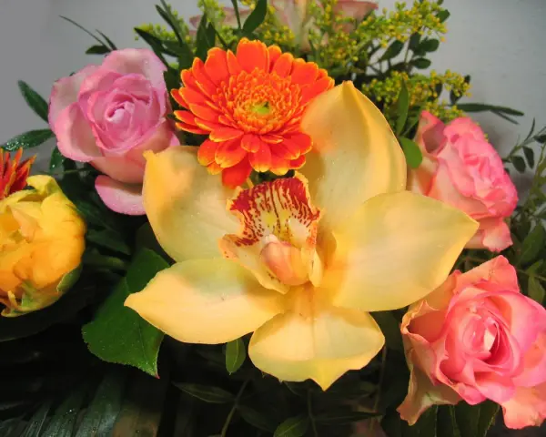 Kwiaty na imieniny Fabiana: żółta orchidea, różowe róże, pomarańczowa gerbera i żółty pąk.