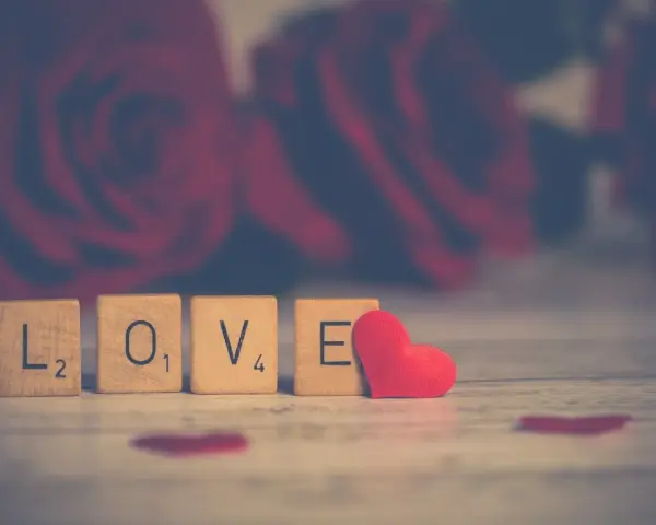 Drewniane klocki z napisem "LOVE" i czerwone serce na tle róż. Od kiedy obchodzimy walentynki w Polsce?