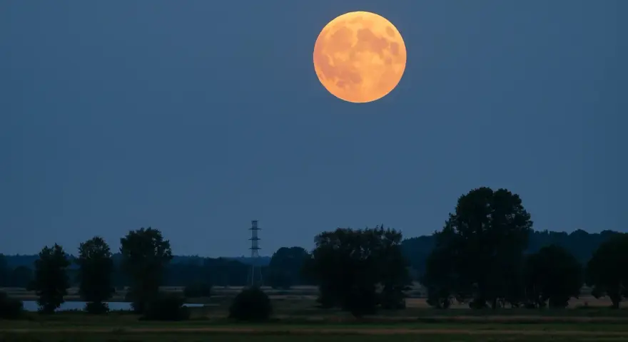 Pomarańczowa pelnia w sierpniu wschodzi nad drzewami i polem.