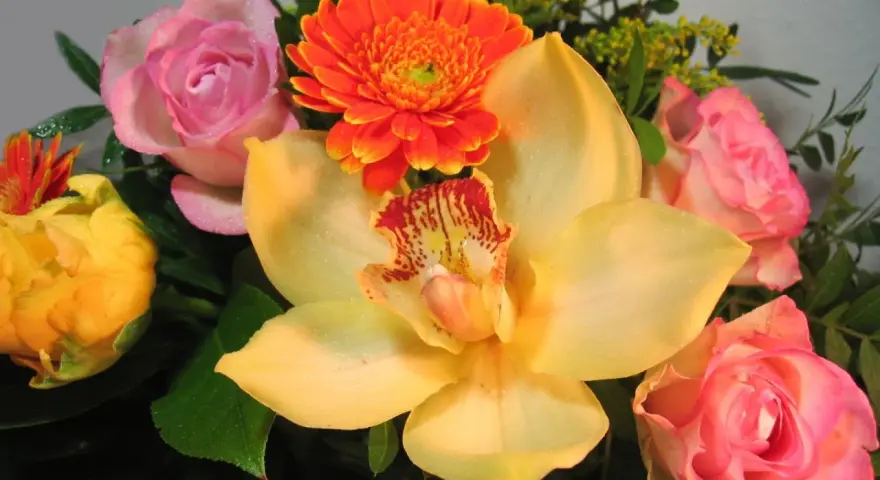 Kwiaty na imieniny Fabiana: żółta orchidea, różowe róże, pomarańczowa gerbera i żółty pąk.