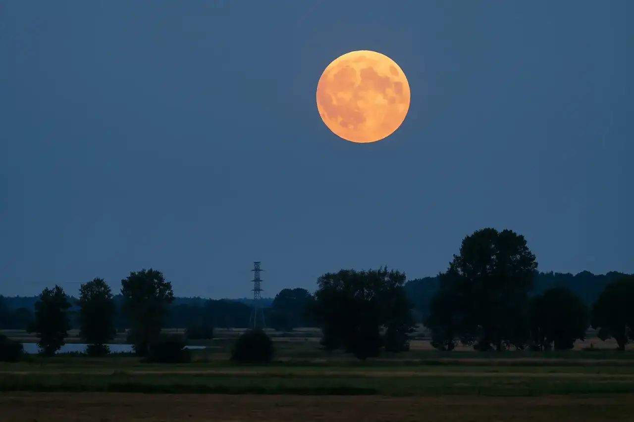 Pomarańczowa pełnia w sierpniu wznosi się nad ciemnym krajobrazem z drzewami i linią energetyczną.